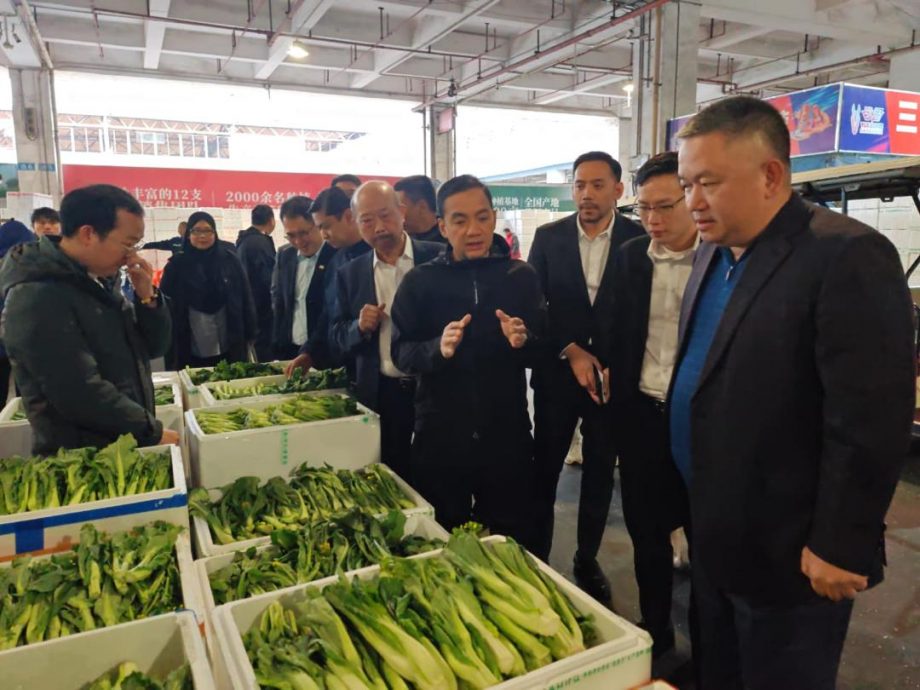 全国:PLS种植与广州江楠 柔佛建一站式区域批发市场