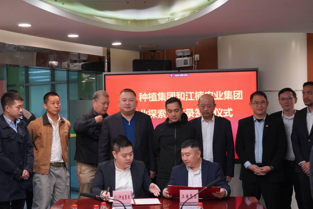 PLS种植与广州江楠 柔佛建一站式区域批发市场