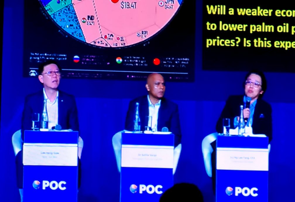 分析员：内忧外患夹攻 5大因素左右棕油价