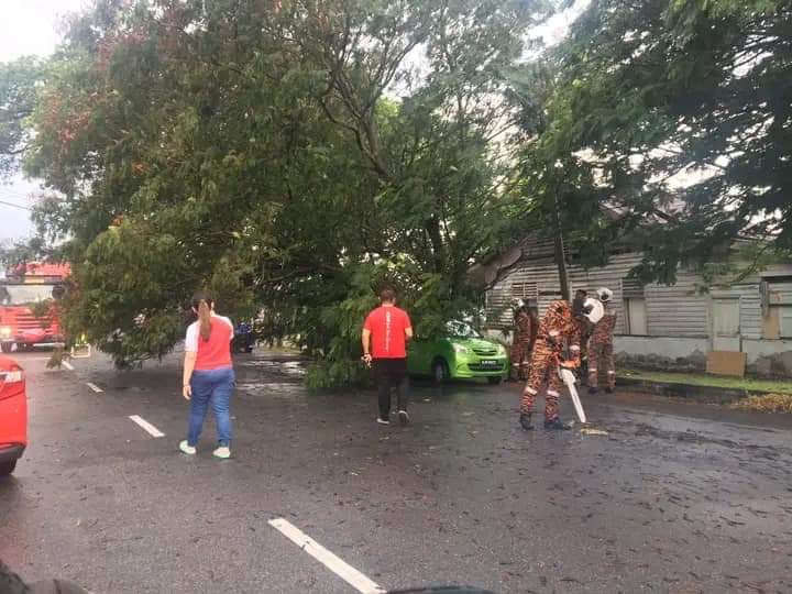 午后大雨 狮尾倒树压车