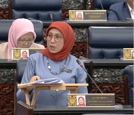 南茜:警方助鉴定保姆没犯罪前科 “托儿所需安装CCTV”