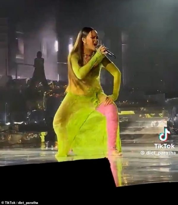 印度首富邀当婚礼歌手  蕾哈娜被批收天价打混