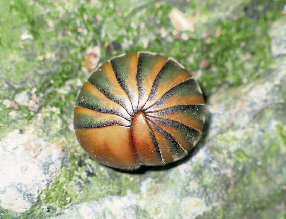 Fkwyq240317 06 Fz003049480973