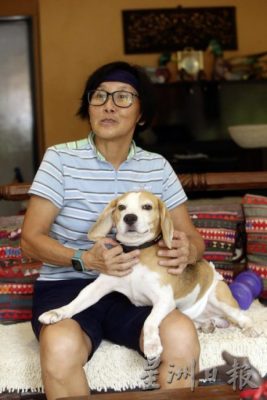 喜欢狗却无法养狗,兼职狗保姆满足弄狗为乐