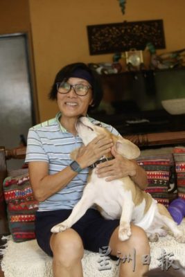 喜欢狗却无法养狗,兼职狗保姆满足弄狗为乐