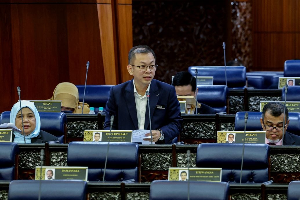 国会/可可种植扩至1万公顷