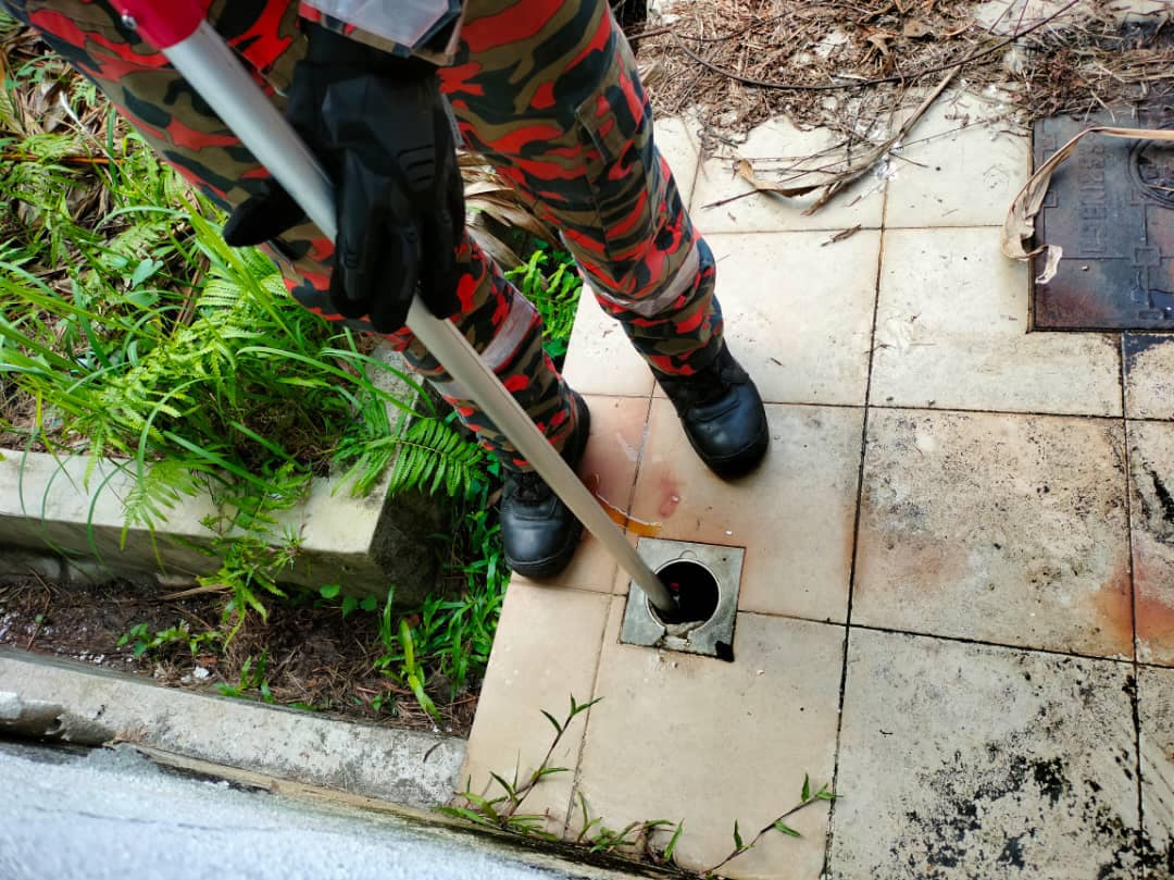 大都会:受困拉不出,志愿消防刷头救猫/3图