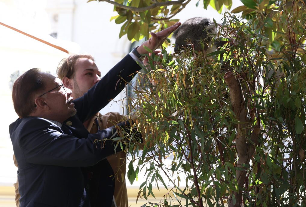 大马依循国际法和平解决争端 · 安华促各国克制勿让局势恶化