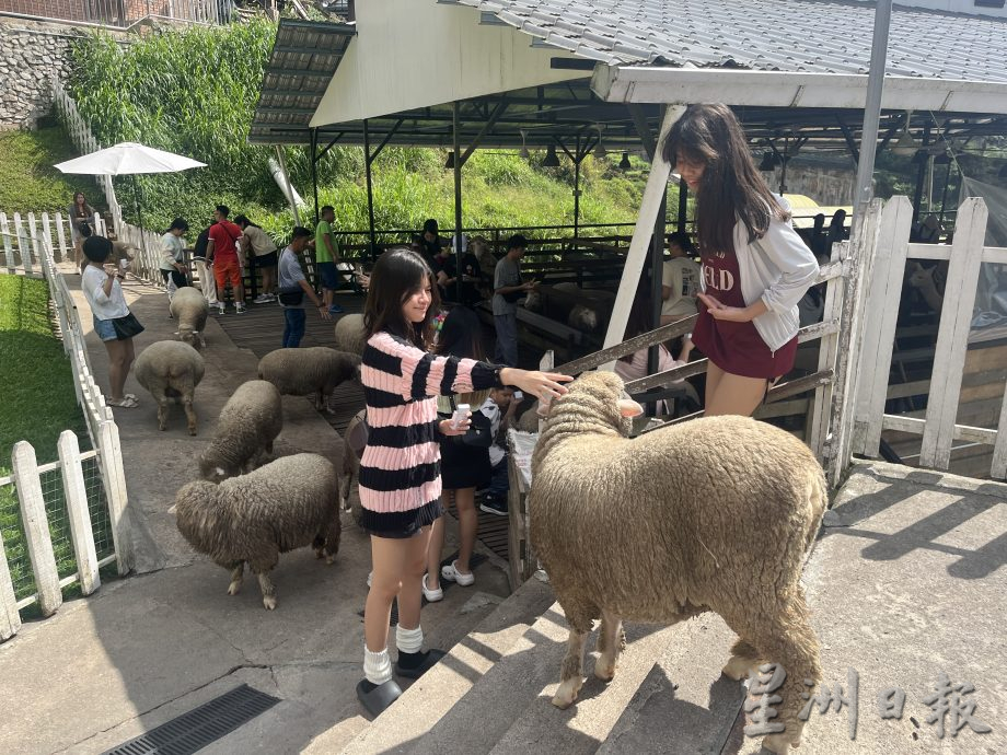 天气热 吹吹风 透透气 涌到金马仑避暑