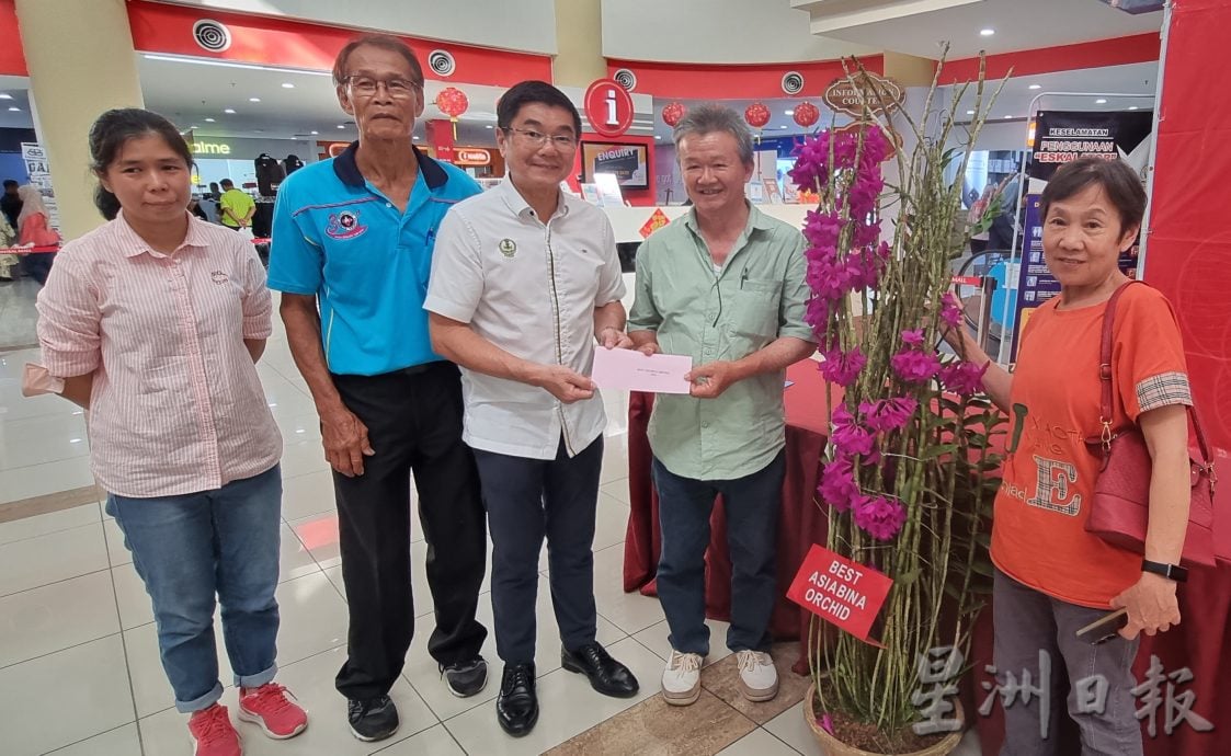 太平兰花展 百花争妍夺艳