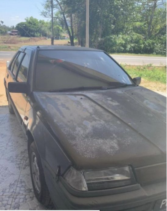 女子驾老爷车不觉丢脸 “载鱼卖还整车鱼腥味”