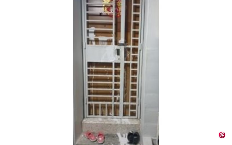 *已签发*柔:狮城二三事:涉当阿窿跑腿泼白漆 狮城22岁青年被捕