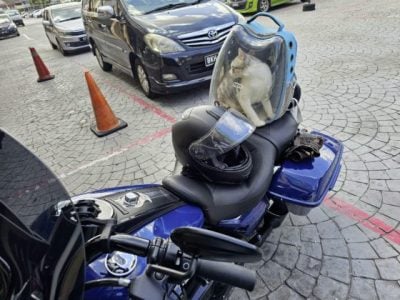 恶霸律师也有柔情──家有4狗1猫,平等爱它们