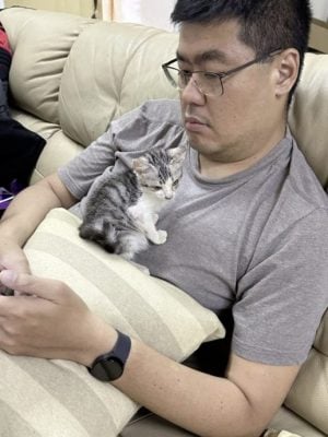 恶霸律师也有柔情──家有4狗1猫,平等爱它们