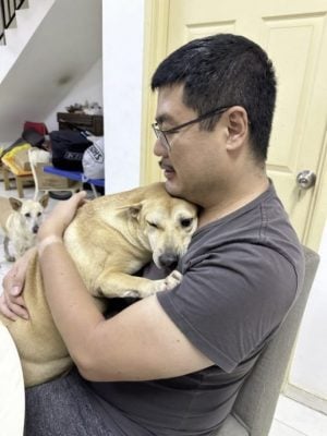 恶霸律师也有柔情──家有4狗1猫,平等爱它们