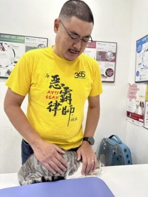 恶霸律师也有柔情──家有4狗1猫,平等爱它们