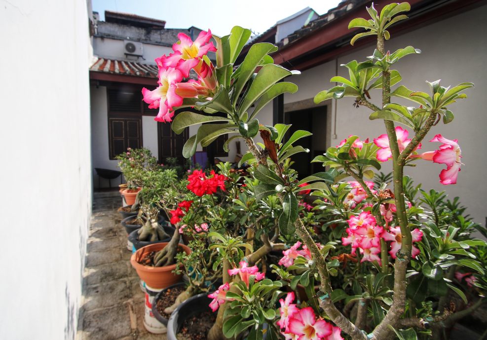 想脱单?别错过! 21日拜花姑求良缘