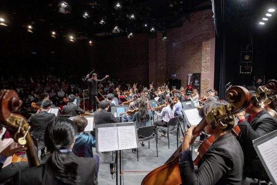 扎根本土,迈向全球 RondoFest欢庆5周年