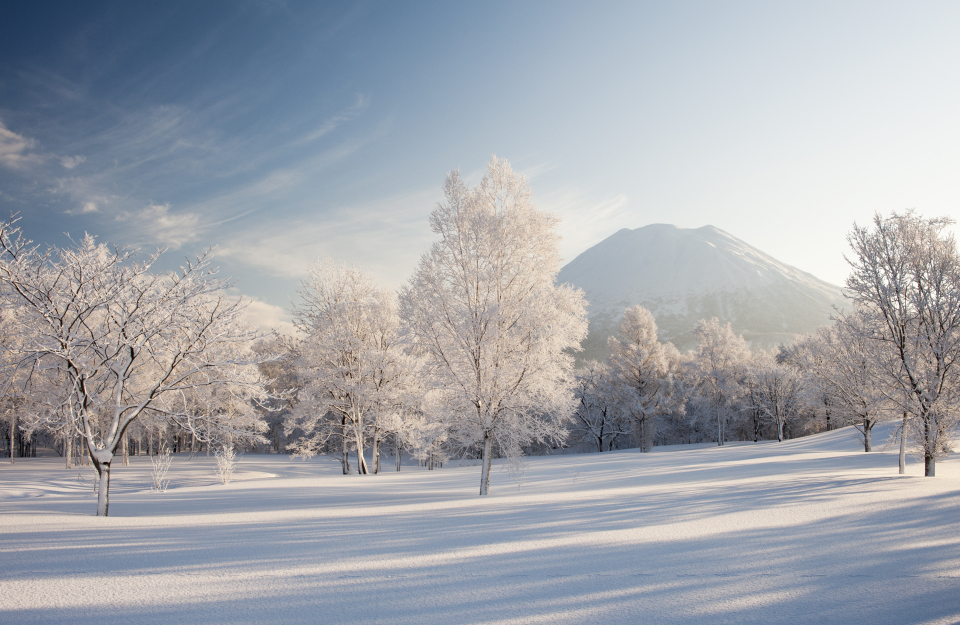拼盘 北海道滑雪胜地新雪谷町11月起开征住宿税 每晚最高63令吉