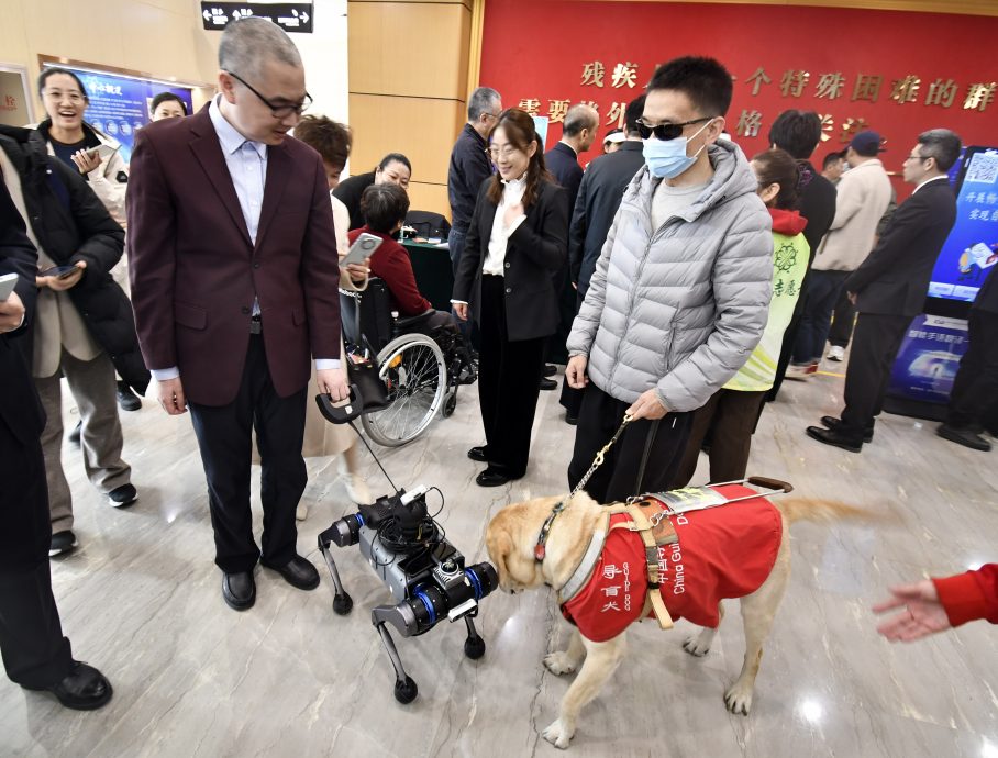 拼盘 科技赋能 关爱残障人士