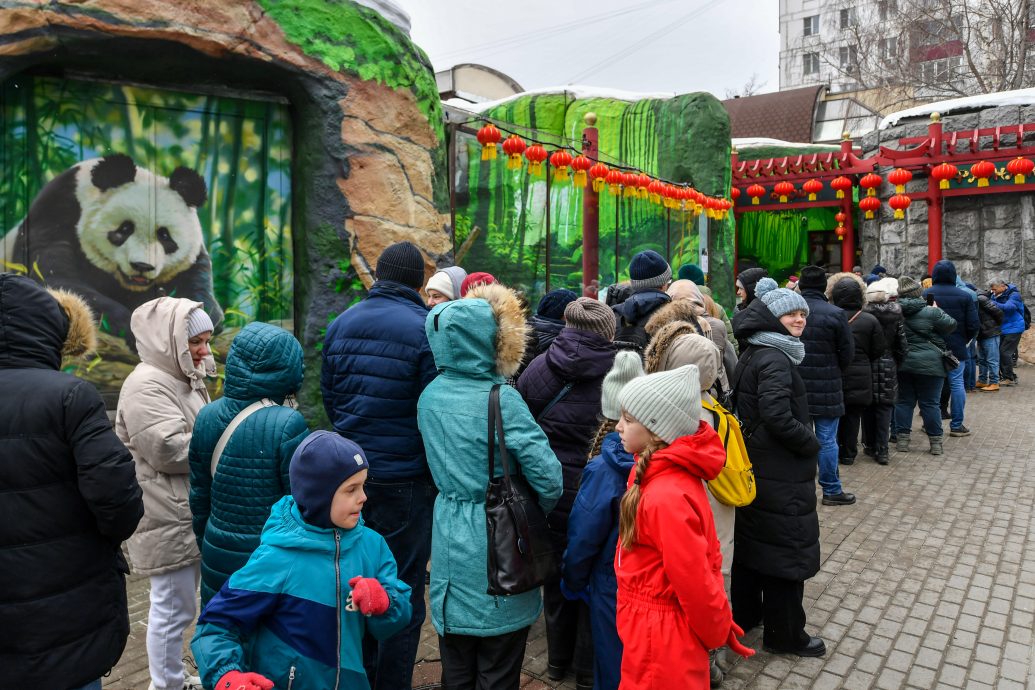 拼盘∕俄罗斯出生大熊猫幼崽“喀秋莎”首次亮相