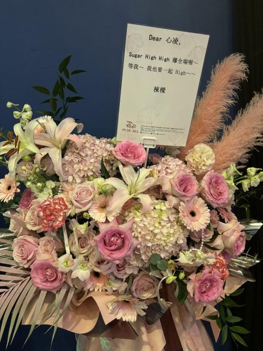 暌违17年来马“全糖”萌化粉丝  王心凌自夸小公举