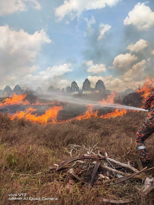 柔: 天乾物燥防燃野火 清明扫墓严防火苗