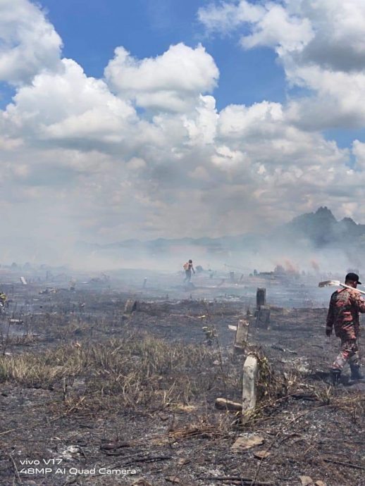 柔: 天乾物燥防燃野火 清明扫墓严防火苗