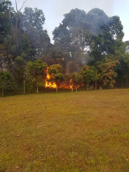 柔: 巴西古当大道旁现林火 险烧及柔佛再也华小草场