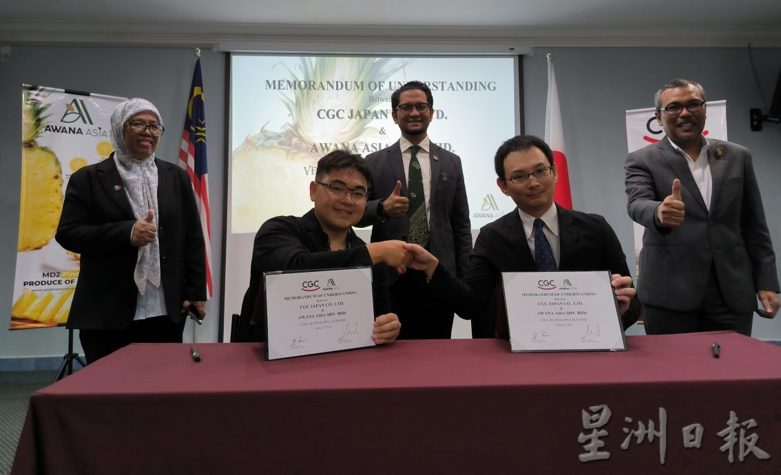 柔： 马日企业签合作备忘录  MD2黄梨打入日市场