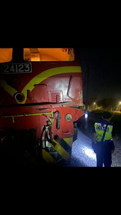 柔：​越铁轨遭驶过火车撞上  小象伤重毙命火车前侧凹陷损坏