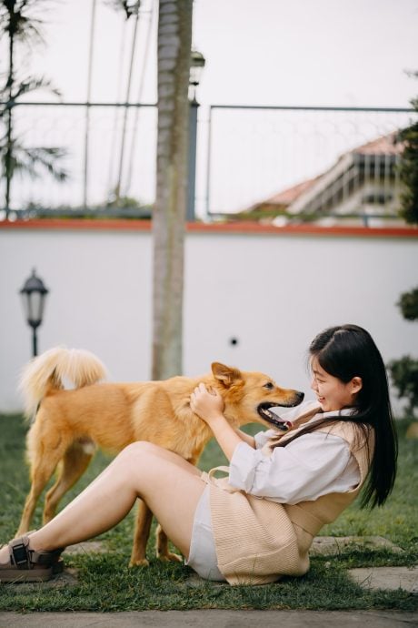 柔:宠物萌萌哒(见报日9/3):陈洧淇对流浪犬一眼万年 给了“Murphy”一个温暖的家