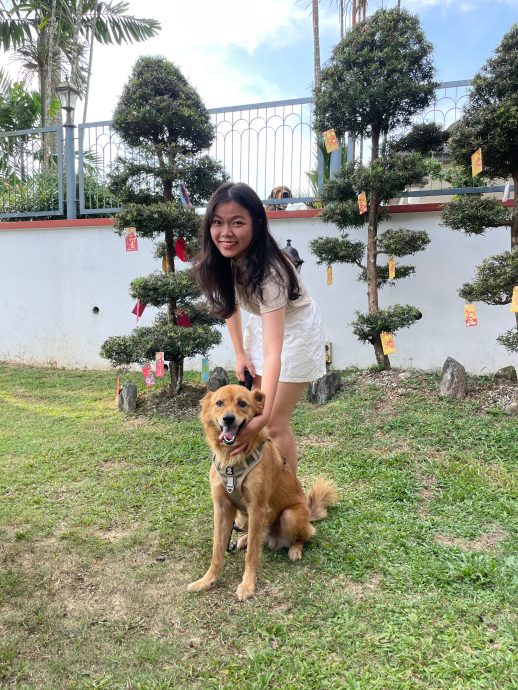 柔:宠物萌萌哒(见报日9/3):陈洧淇对流浪犬一眼万年 给了“Murphy”一个温暖的家