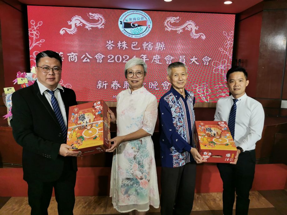 柔:峇批发公市拨款装监控 杨俊荣:监督公市安全