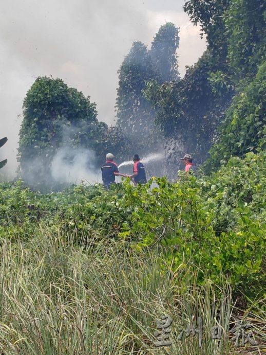 柔:巴罗首都花园草芭一连两日着火