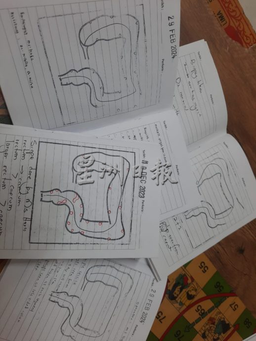 柔:版二头:星洲基金:1家11口面对疾病及经济困境 盼社会大众援助