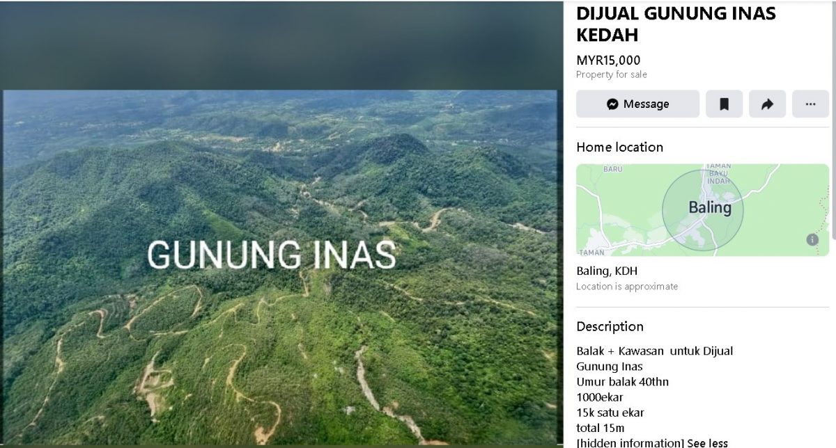 求真/华玲依纳斯山1500万出售森林地段 森林局:这是骗局!