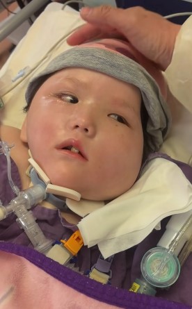 疑医疗事故变植物人 病情恶化家人忍痛拔喉