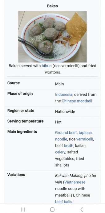 肉骨茶入遗风波| 以印尼肉丸Bakso举例 医院董事:就算有Bak也清真!