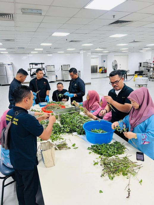 补图//国家王宫派发什锦粥