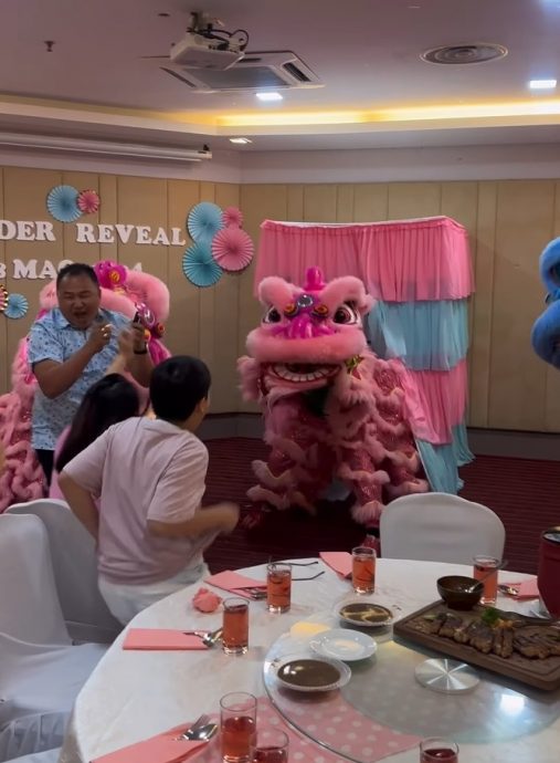 视频 | 准爸妈请舞狮表演 揭宝宝性别超特别!