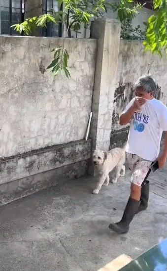 视频 | 收容所主人将小狗送人领养 泣不成声向母狗道歉