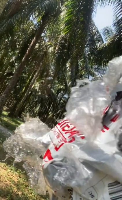 视频|自制年饼包好放门口待寄 女子气哭:“被猴子偷走了!”