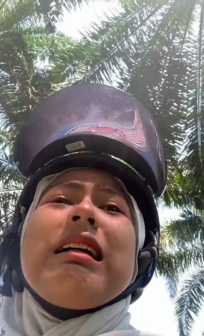 视频|自制年饼包好放门口待寄 女子气哭:“被猴子偷走了!”