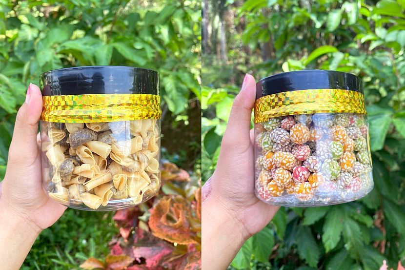 视频|自制年饼包好放门口待寄 女子气哭:“被猴子偷走了!”