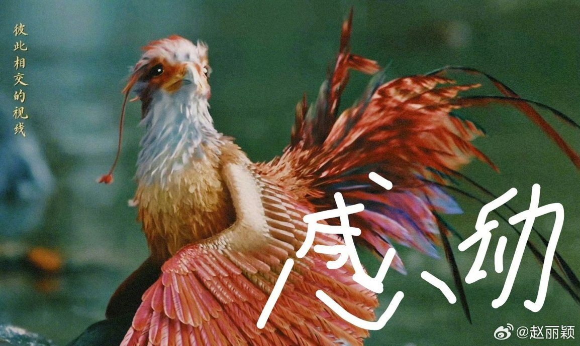 赵丽颖被狠嘲文盲 1周发文连3错字