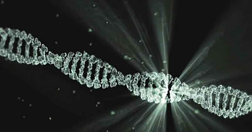 越看越像别人的！越南男子要求做小孩DNA检测 妻子私下竟然“这样做”