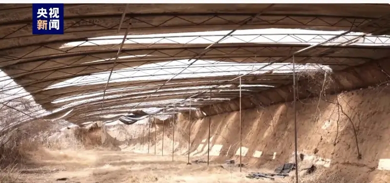 邯郸初中生被同学杀害埋尸 警方：有预谋犯罪 杀人前就已挖坑