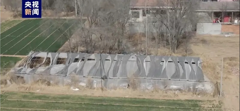 邯郸初中生被同学杀害埋尸 警方：有预谋犯罪 杀人前就已挖坑