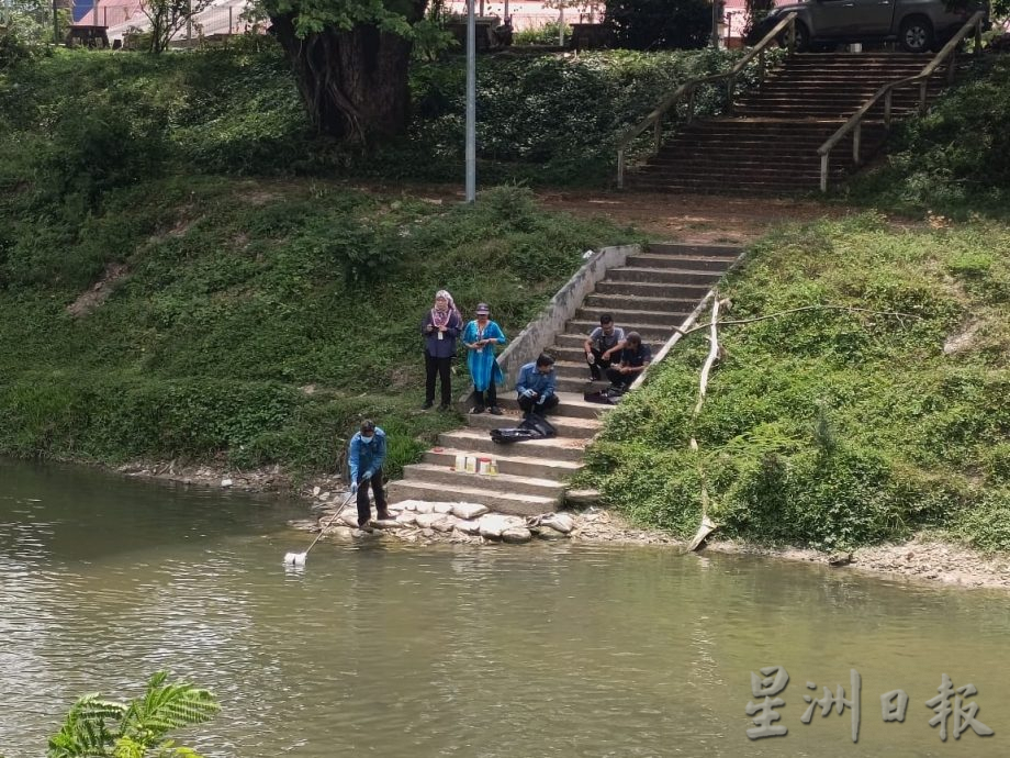 郑国霖:近打河出现集体死鱼 分析河水样本找导因